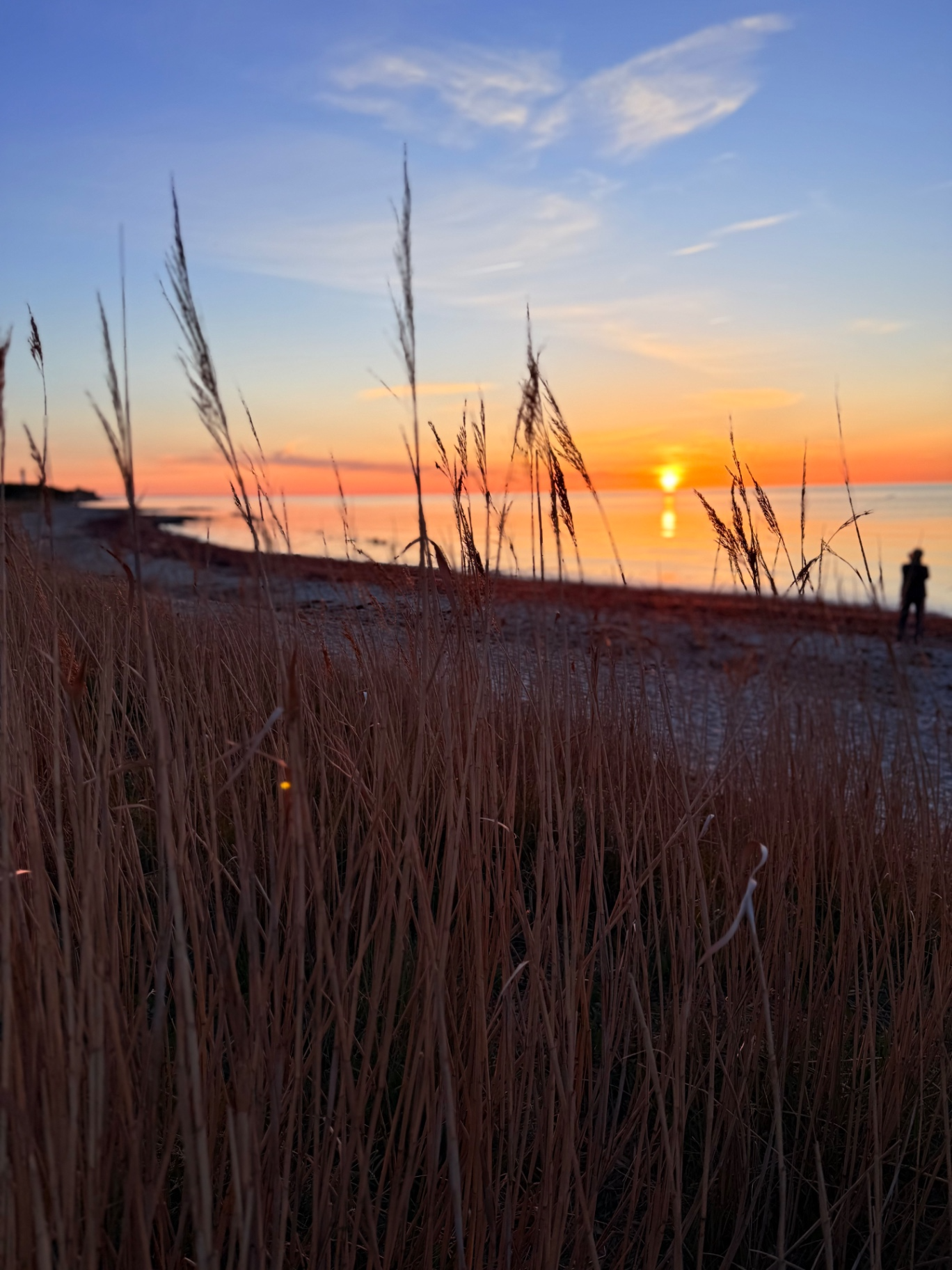 Ruhiger Strand im warmen Abendlicht mit Dünengras